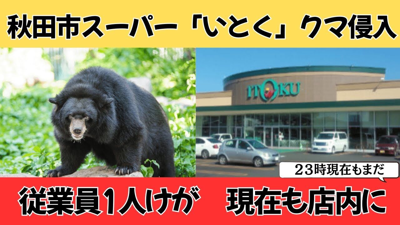 秋田市のスーパーにクマが出没！従業員の軽傷に迫る