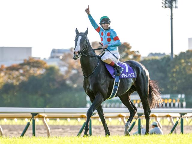 最強馬イクイノックスの初年度産駒の可能性に迫る