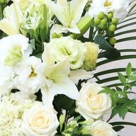 枝元なほみさんの思い出：彼女が残した料理のレガシー