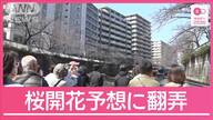 家族が楽しむ桜観光—気持ちいい春の天気とその影響