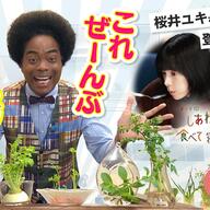 不屈の珠洲焼と能登を巡る旅！大吉の「あさイチ」特集