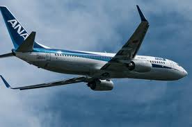 ANA_B737-800