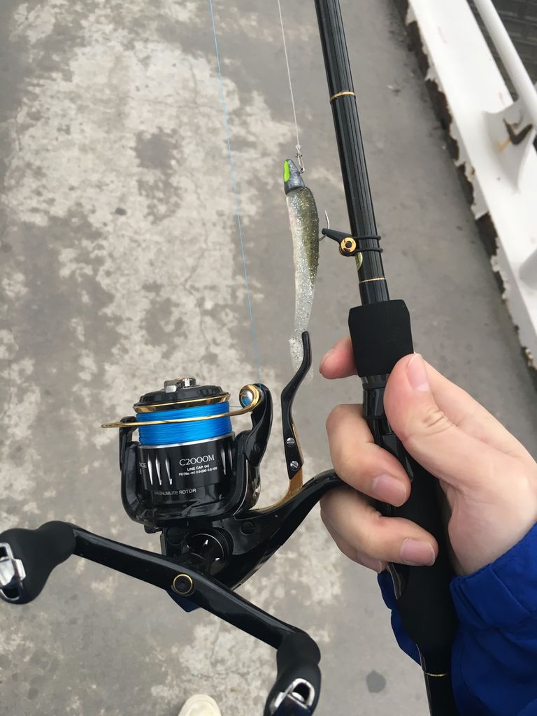 Exsence LB C2000MDH エクスセンス EXSENCE LB C2000MDH スピニング