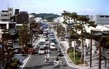 wakamiya