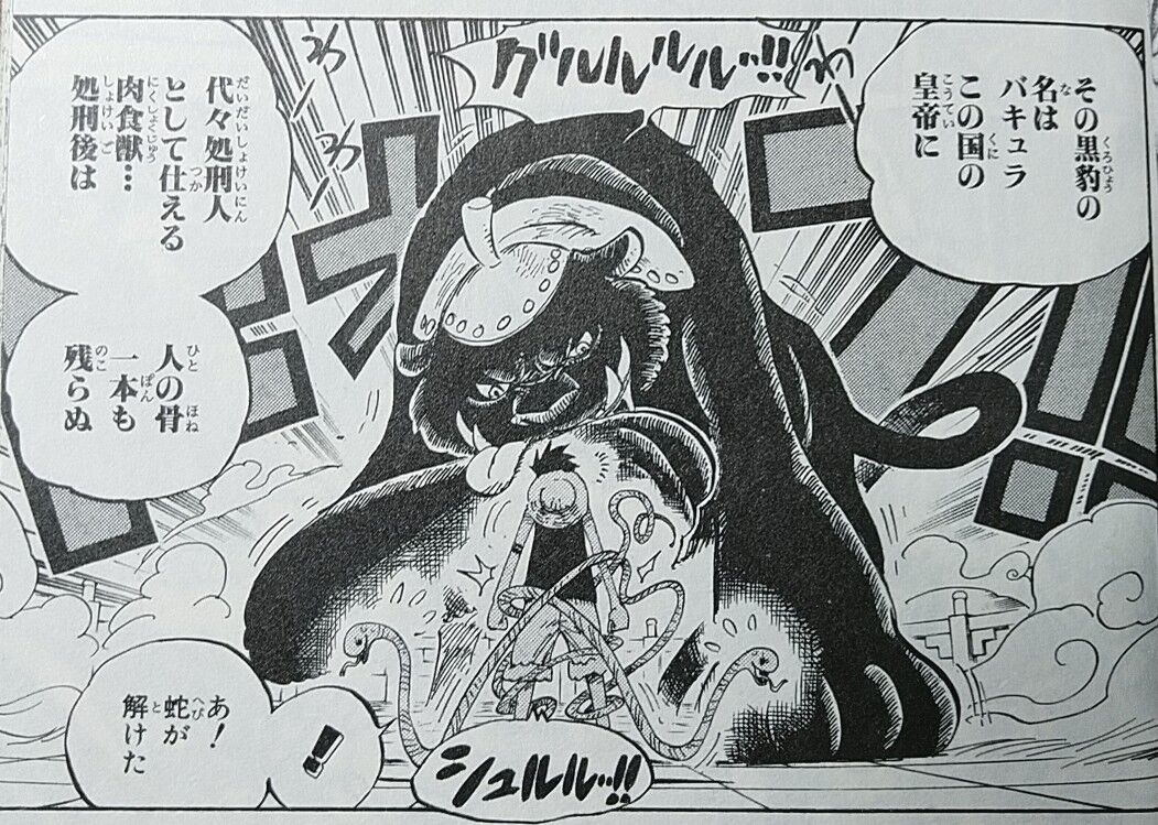 第３７回 アマゾンの女戦士 ワンピースの世界史