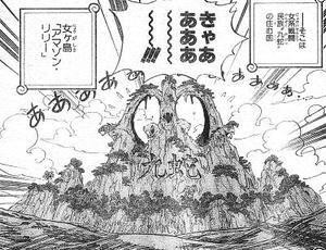 第３７回 アマゾンの女戦士 ワンピースの世界史
