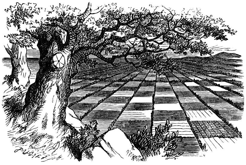 ワンピースの世界史