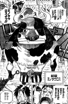 ワンピースの世界史