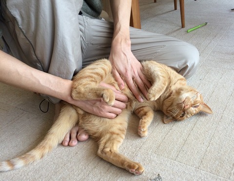 blog3