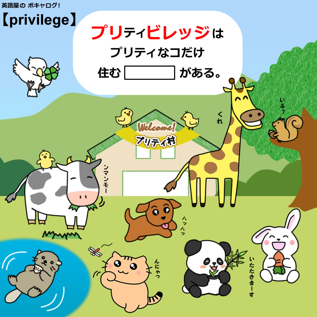 blog-privilege