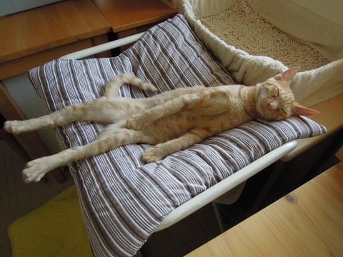 blog26