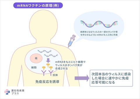 6d605650-de3f-46d8-80a6-8c633c6cd34e