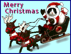 xmasbanner2012_201912211649330f2