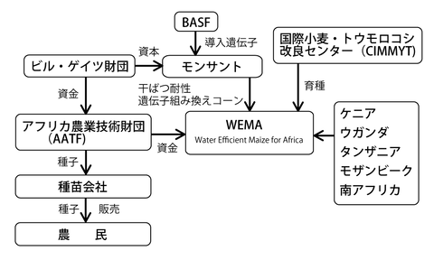 WEMA_scheme
