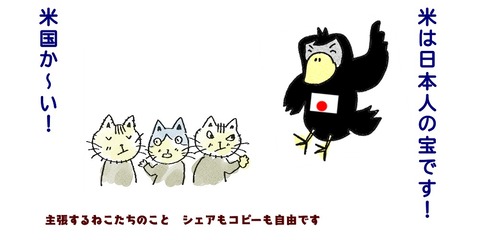 659090754_1260086162770994_6307925752317432006_n