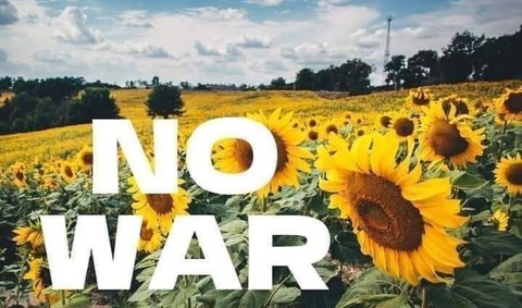 274746013_494199318814921_1369445326300283565_n