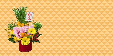 hebinenga-box-ani600x300