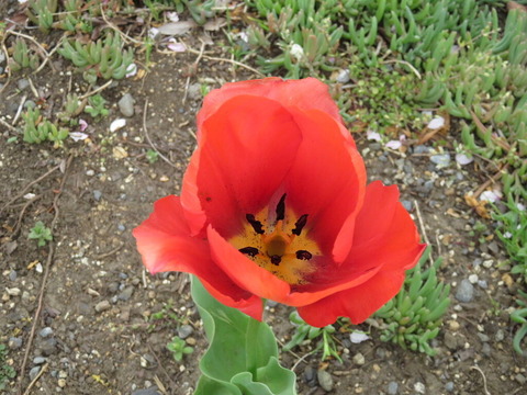 conv0004