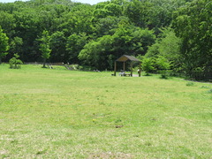 conv0059