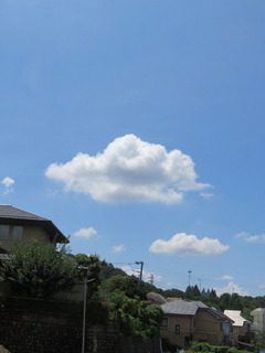 conv0015