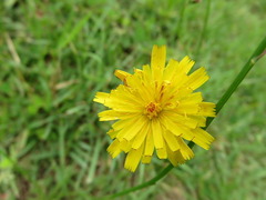 conv0016