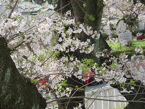 conv0004