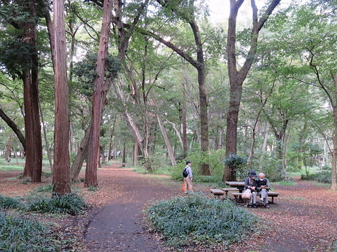 四季八景 壮快山ある記