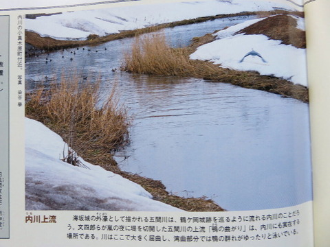conv0011