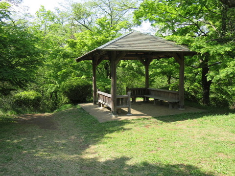 conv0031