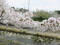 conv0018
