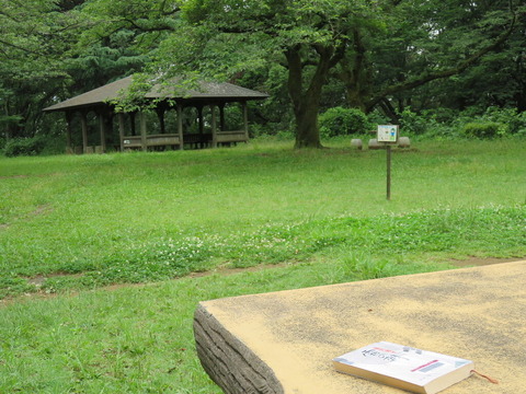 conv0010