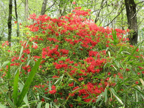 conv0013