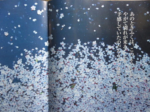 conv0018