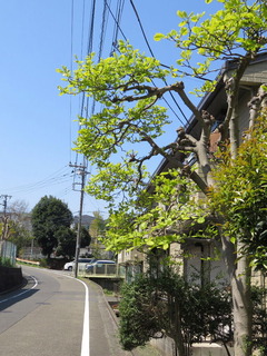 conv0002