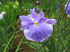 conv0016