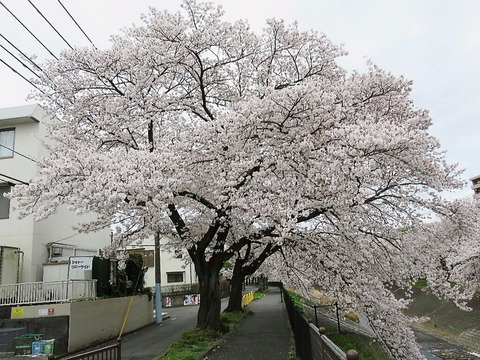 conv0023