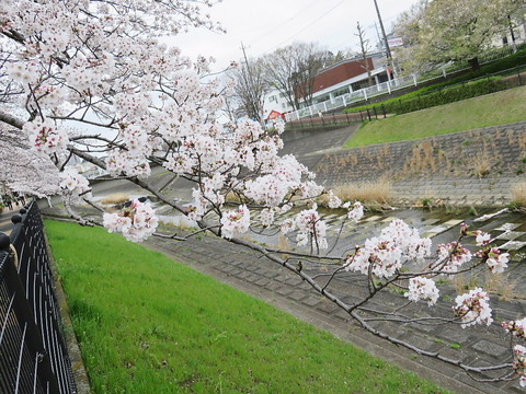 conv0010