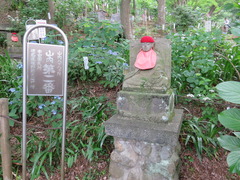 conv0023