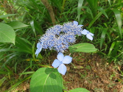 conv0024