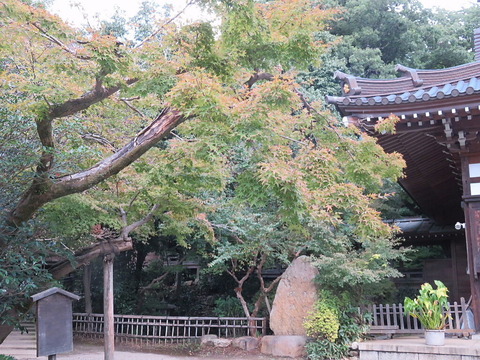 四季八景 壮快山ある記