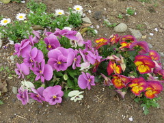 conv0005