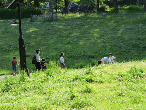 conv0014