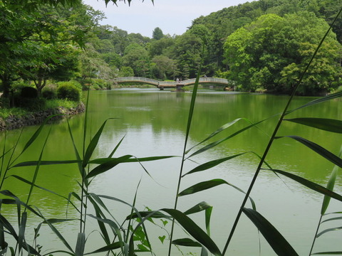 conv0008