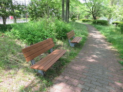conv0050