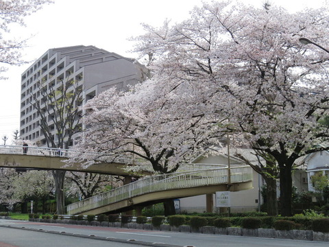 conv0009