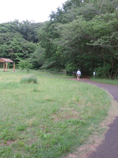 conv0014