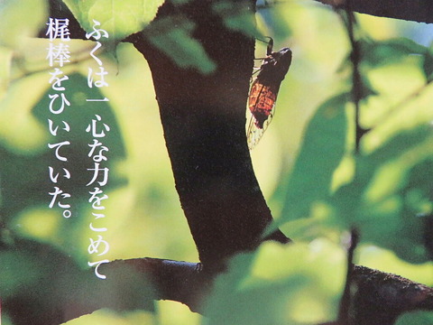 conv0003