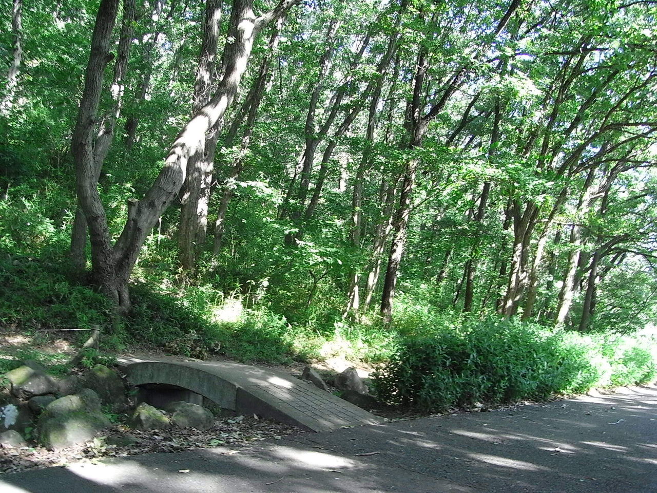 胸椎骨折始末記 １ ぎっくり腰にあらず 四季八景 壮快山ある記