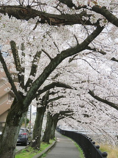 四季八景 壮快山ある記 四季八景 壮快山ある記