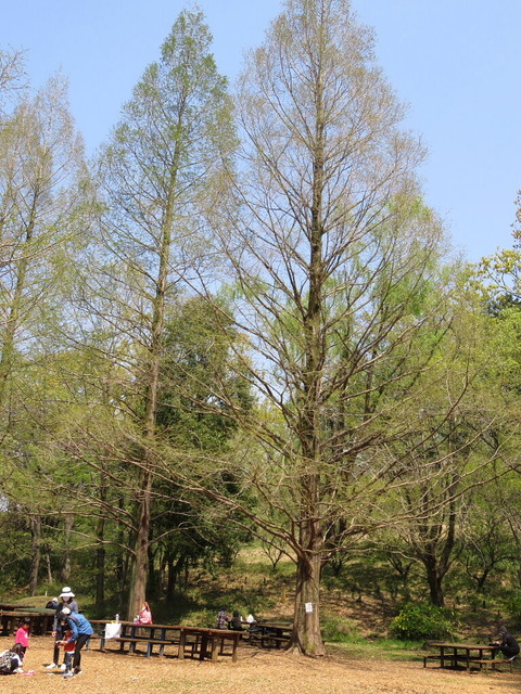 conv0013
